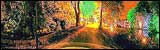 Walsall Illuminations 