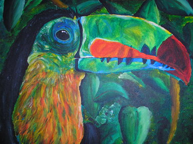 Toucan