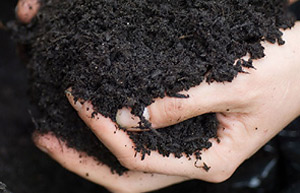 Handful of mulch