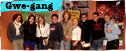 Galeri'r gwegang