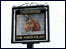 Nags Head pub sign