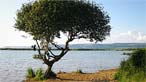 Kenfig Pool