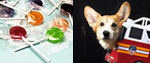 70 Words picture gallery No 4.
