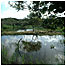 Teifi c/o WTSSWW