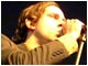 Maximo Park