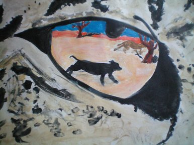 Leopard eye