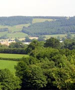 Dyffryn Meifod