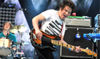 Wombats