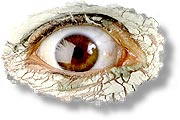 UFOs: Eyewitness accounts