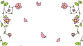 Flowers Flowers