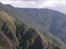 Peruvian Jungle
