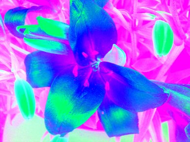 brightness