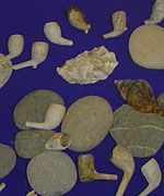 Clay Pipes