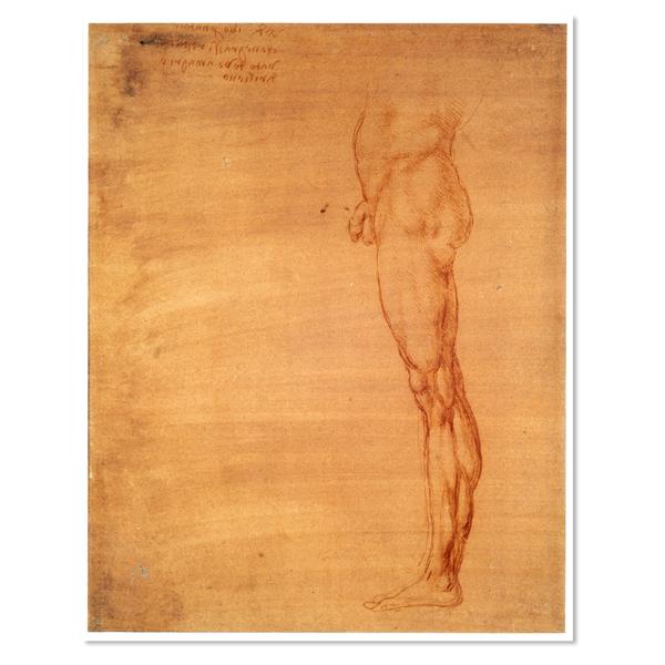 Leg sketch