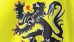 Flemish immigrants