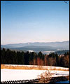 Bohemia 