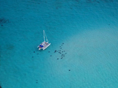 Stingray City