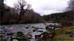 River Wye. Photo: Vines Caravan Park