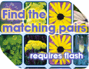 Matching pairs