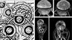 Time Lord Staff in detail