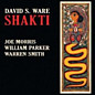 Review of Shakti