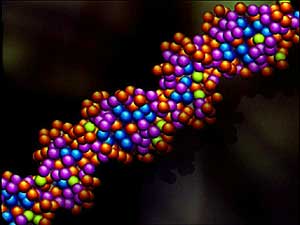 DNA