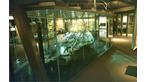 The Dover Bronze Age Boat