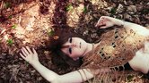 Fallen