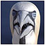 Sea birds video (Image: Gannet)