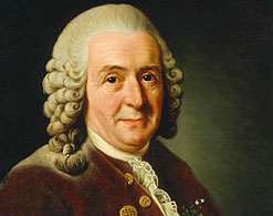 Carl Linnaeus, painted by Alexander Roslin (1775)