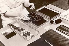 Packing chocolates