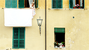 Window