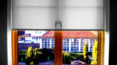 Outside the window....