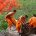 Monks