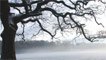 Woodland Road, Croesyceiliog - Rob Poulton