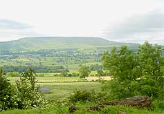 Preston Spring