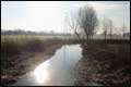 Countryside in Herts.