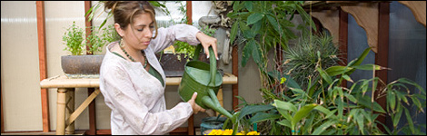 Green house