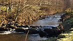 Afon Brefi, llanddewi Brefi