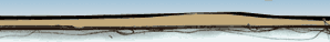 top banner