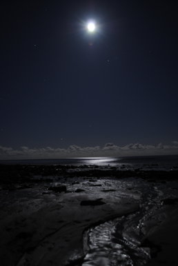 Exposured Moon