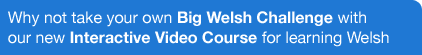 interactive video course