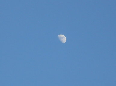 Moon out early