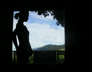 Through the window