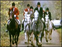 Fox hunt