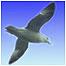 Estates (Image: Fulmar)