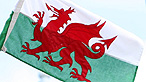 Baner y ddraig goch