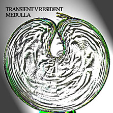 Review of Medulla