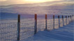 snow scene by Darren Bowen