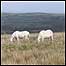 Brecon Beacons